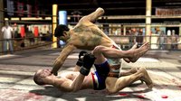 Supremacy MMA screenshot, image №557070 - RAWG