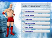 Wrestling Spirit: Rookie to Legend screenshot, image №413589 - RAWG