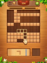 Block Puzzle: Wood Brain Games screenshot, image №2841099 - RAWG