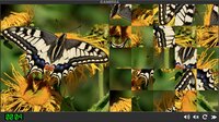 Puzzle Insects screenshot, image №3371572 - RAWG