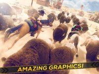 Horse Riding Derby Free | Wild Horses Games For Girls screenshot, image №1762169 - RAWG