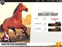 Rival Stars Horse Racing screenshot, image №1906563 - RAWG