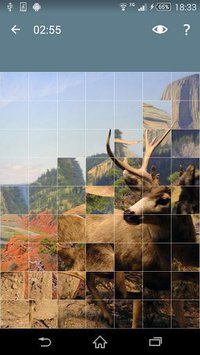 Jigsaw Puzzle: Animals screenshot, image №1497934 - RAWG