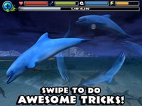 Dolphin Simulator screenshot, image №956524 - RAWG