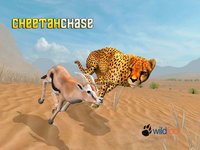 Cheetah Chase screenshot, image №1773887 - RAWG