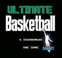 Ultimate Basketball screenshot, image №738509 - RAWG