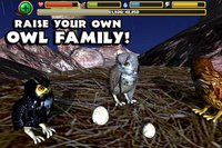 Owl Simulator screenshot, image №1560889 - RAWG