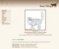 Pure Felinity screenshot, image №2512881 - RAWG