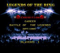 Boxing Legends of the Ring screenshot, image №758594 - RAWG