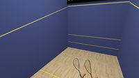 VR Squash 2017 screenshot, image №665946 - RAWG