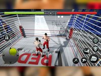Wrestling Revolution Mayhem 3D screenshot, image №1889768 - RAWG