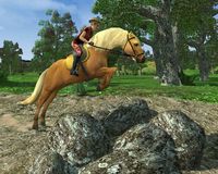 Ellen Whitaker's Horse Life screenshot, image №506749 - RAWG