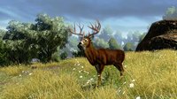 Cabela's Outdoor Adventures screenshot, image №346136 - RAWG