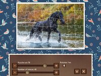 1001 Jigsaw. Earth Chronicles 9 screenshot, image №3123928 - RAWG