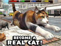 Ultimate Cat Simulator screenshot, image №1968041 - RAWG