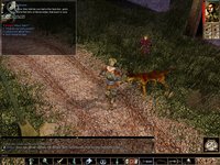 Neverwinter Nights screenshot, image №302764 - RAWG