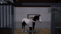 Unbridled: That Horse Game screenshot, image №4163601 - RAWG