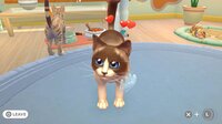 My Universe - Pet Clinic Cats and Dogs screenshot, image №2709230 - RAWG