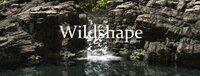 Wildshape - Map Editor - Alpha Access screenshot, image №2533662 - RAWG