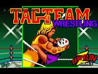 American Tag-Team Wrestling screenshot, image №747322 - RAWG