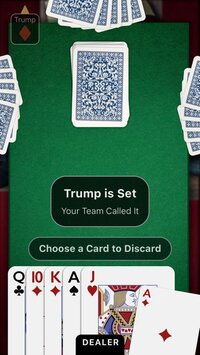 Euchre Night screenshot, image №3064390 - RAWG