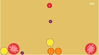 Cute Fruit Game screenshot, image №4172667 - RAWG