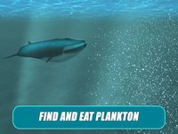 Whale Survival Simulator 3D - Ocean animal survival simulator screenshot, image №1625913 - RAWG