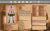 World Boxing Manager screenshot, image №94850 - RAWG