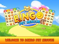 Bingo Pet Rescue screenshot, image №3077493 - RAWG