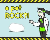 A Pet Rock?! screenshot, image №3202906 - RAWG