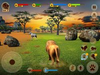 Real Lion Adventure 3D screenshot, image №898548 - RAWG