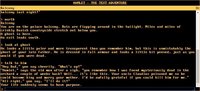 Hamlet - The text adventure screenshot, image №2252007 - RAWG