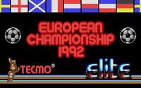 European Championship 1992 (Old) screenshot, image №748289 - RAWG