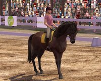 Ellen Whitaker's Horse Life screenshot, image №506741 - RAWG