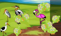 Birds Game for Toddlers Puzzle screenshot, image №1589284 - RAWG