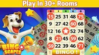 Bingo Scapes - Lucky Bingo Games Free to Play screenshot, image №2070364 - RAWG