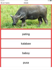 Learn Tagalog - Flashcards for Kids screenshot, image №962956 - RAWG