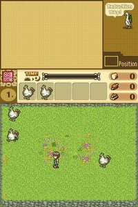 Shepherd's Crossing 2 (DS) screenshot, image №809135 - RAWG