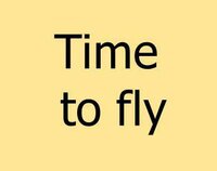 Time to fly screenshot, image №2934312 - RAWG