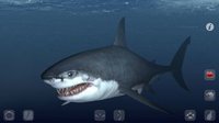 Talking Great White: My Pet Shark PRO screenshot, image №967960 - RAWG