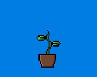 Keep a Plant - Windows Download screenshot, image №2359370 - RAWG