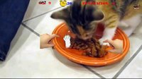 Gatos Locos screenshot, image №1313994 - RAWG
