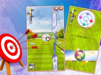 Archery Hit：Aim and Shoot screenshot, image №1324755 - RAWG