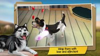 DogHotel - My boarding kennel screenshot, image №1522583 - RAWG