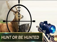 Survival Hunting: Deer Hunter screenshot, image №1910087 - RAWG