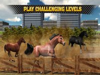 Wild Horse Racing Champions screenshot, image №1664245 - RAWG