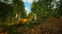 Morels: The Hunt screenshot, image №2176352 - RAWG