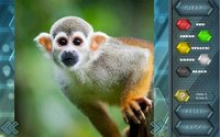 HexLogic - Zoo screenshot, image №1529537 - RAWG