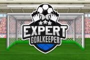 Expert goalkeeper 2022 screenshot, image №3433305 - RAWG