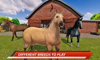 My Horse Show: Race & Jumping Challenge screenshot, image №1274724 - RAWG